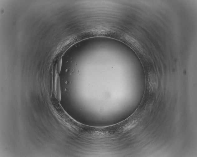 X0000067490494200604071208