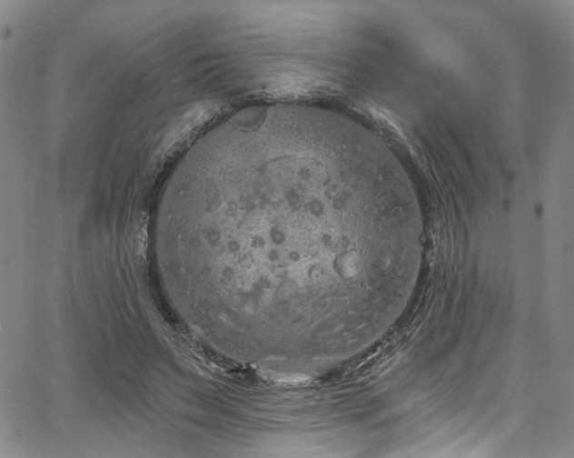 X0000067490495200604071208