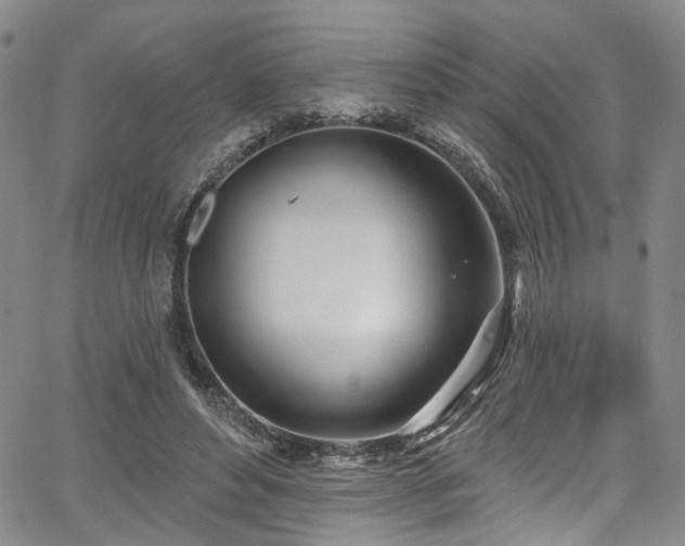 X0000067490496200604071207