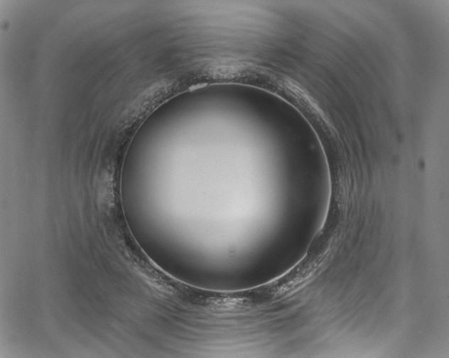 X0000067490497200604071207