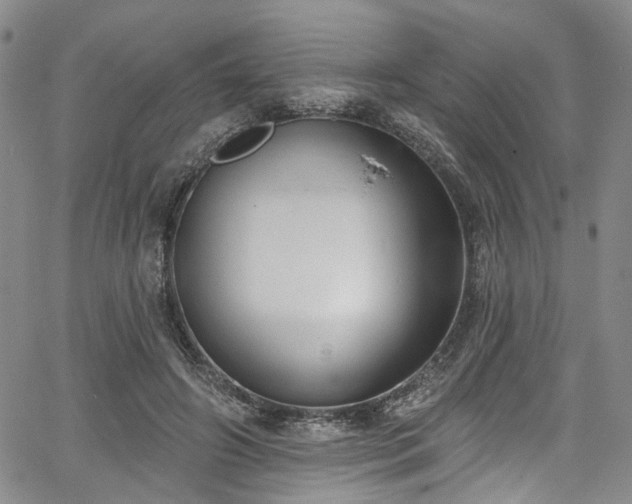 X0000067490498200604071207