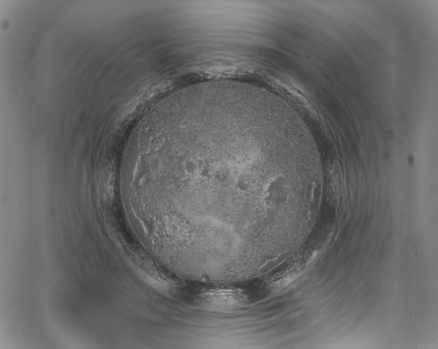 X0000067490499200604071207