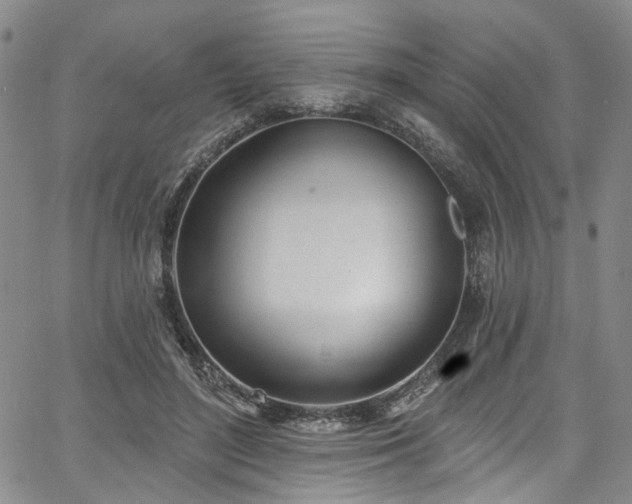 X0000067490500200604071207