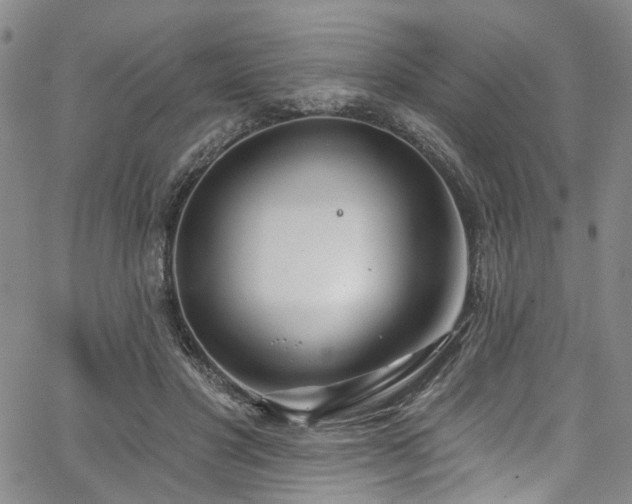 X0000067490501200604071207