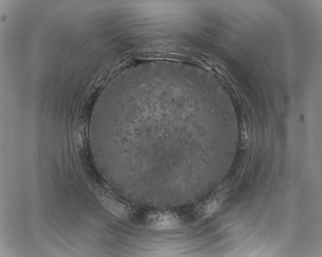 X0000067490503200604071207