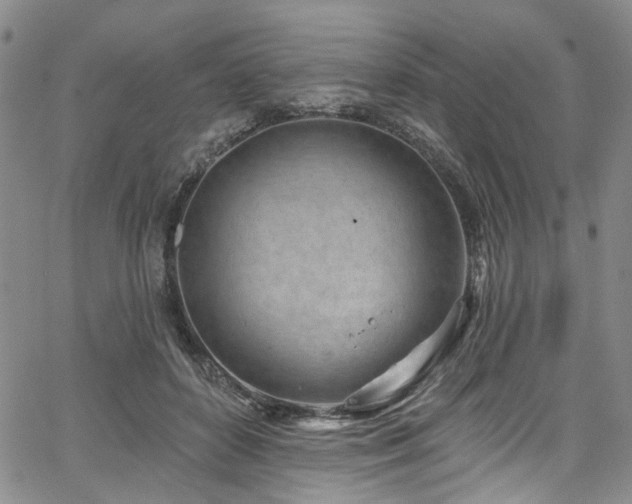 X0000067490504200604071207