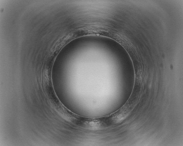 X0000067490506200604071207