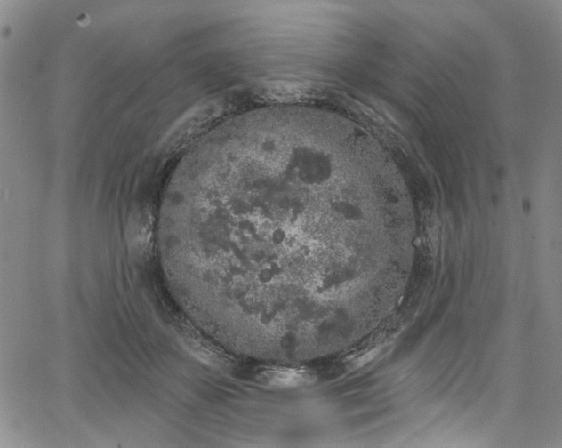 X0000067490507200604071207