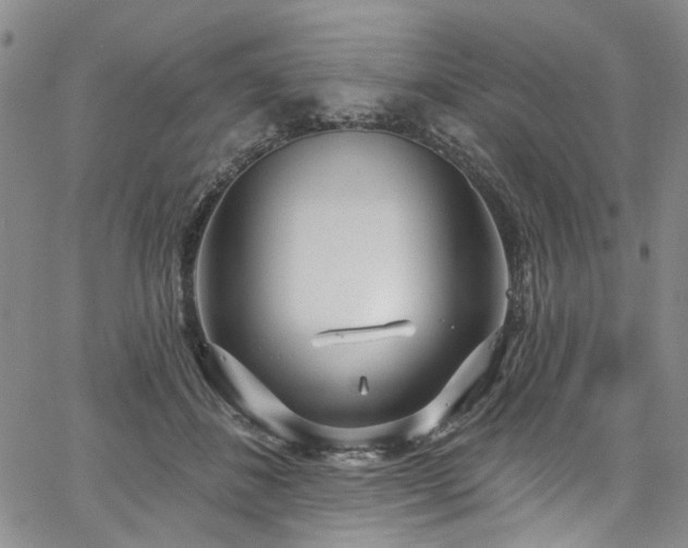 X0000067490508200604071207