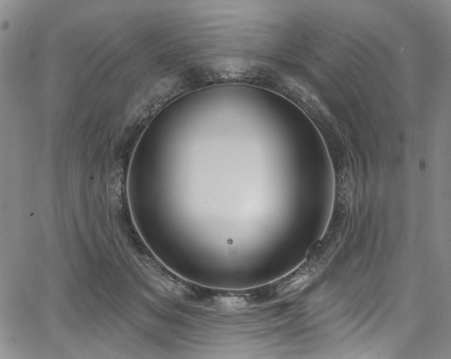 X0000067490509200604071207