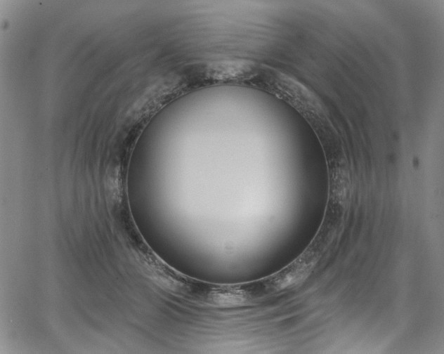 X0000067490510200604071207