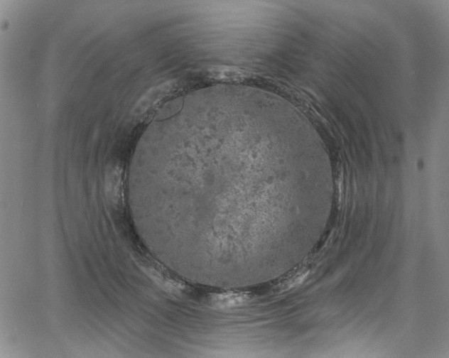 X0000067490511200604071207