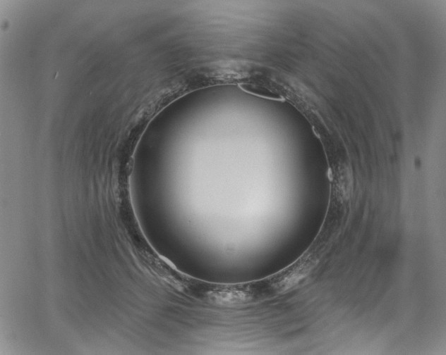 X0000067490512200604071207