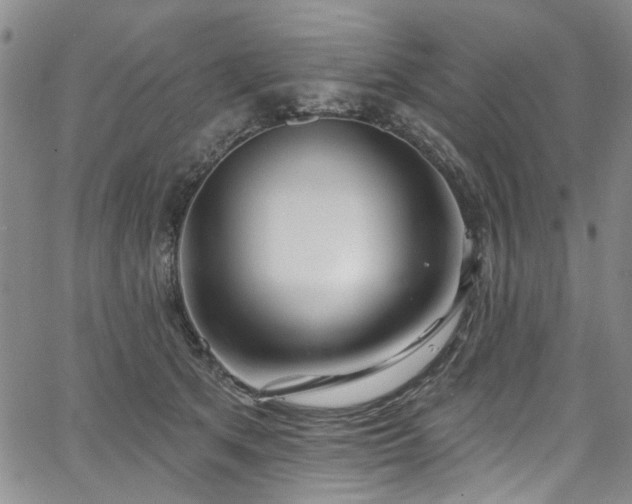 X0000067490513200604071207