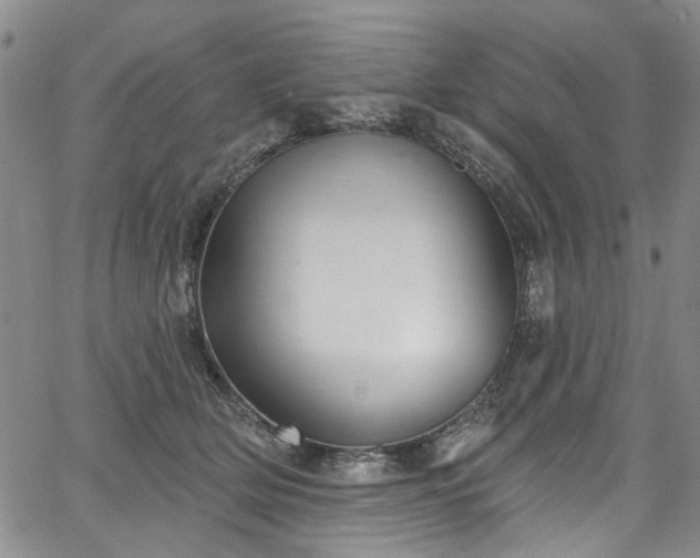 X0000067490514200604071207