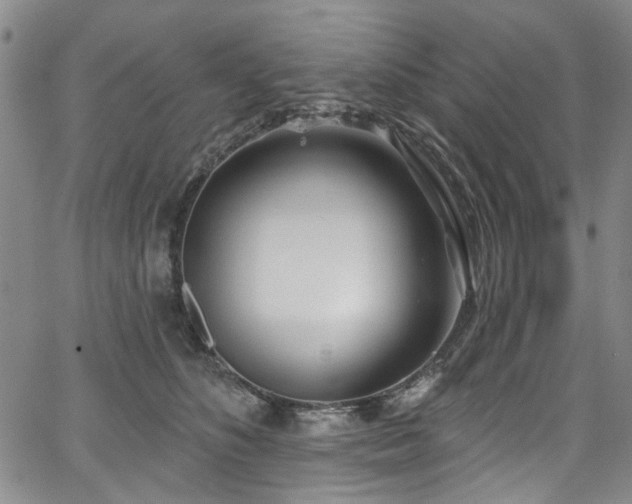 X0000067490516200604071207