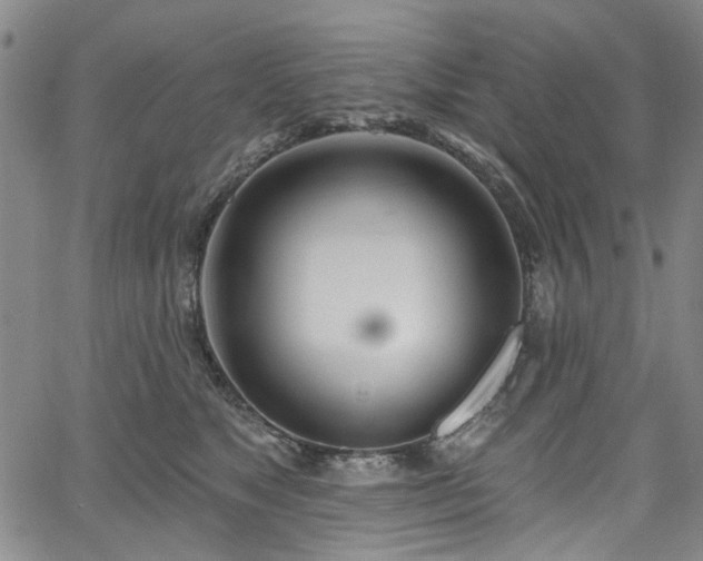 X0000067490517200604071207