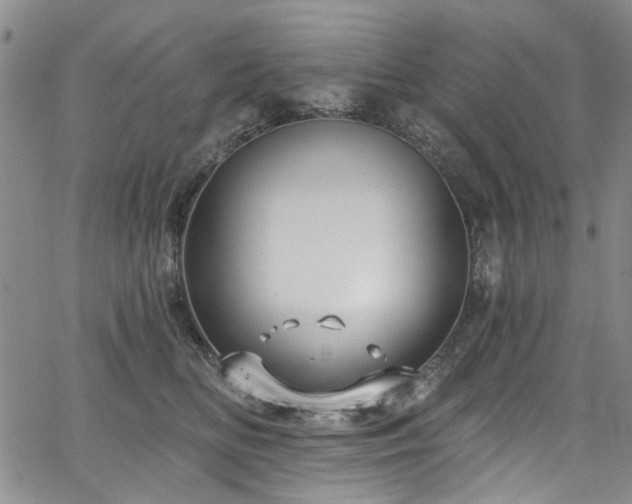 X0000067490518200604071207