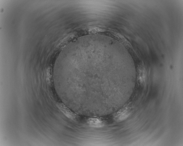 X0000067490519200604071207