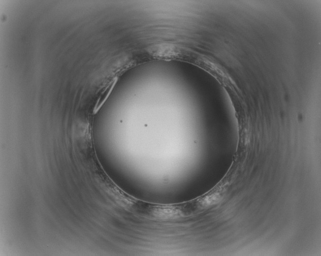 X0000067490521200604071207