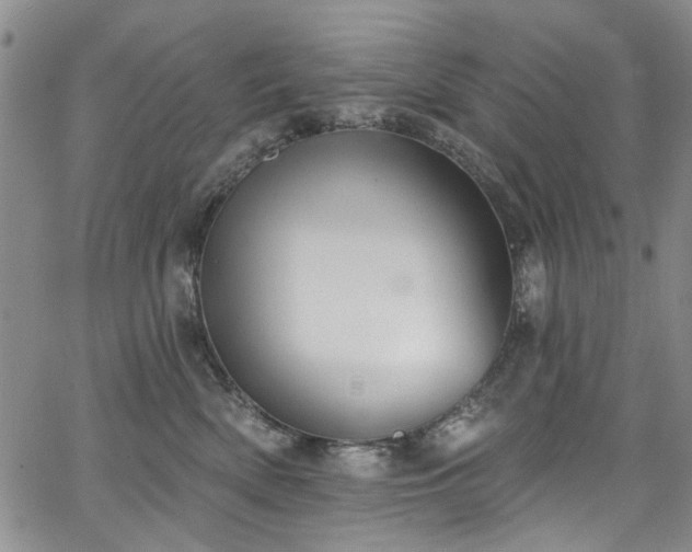 X0000067490522200604071207