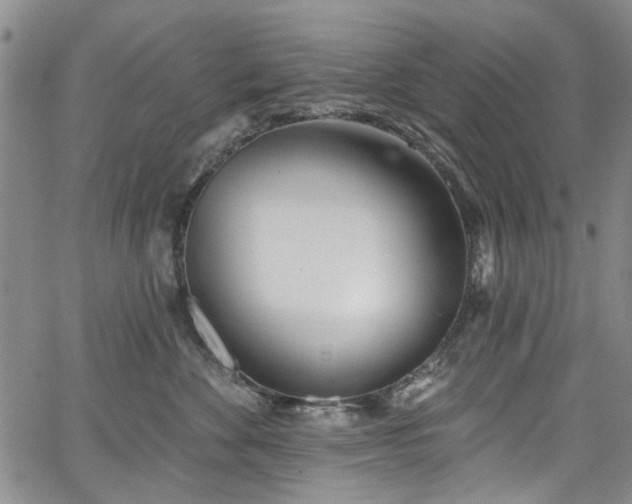 X0000067490524200604071207