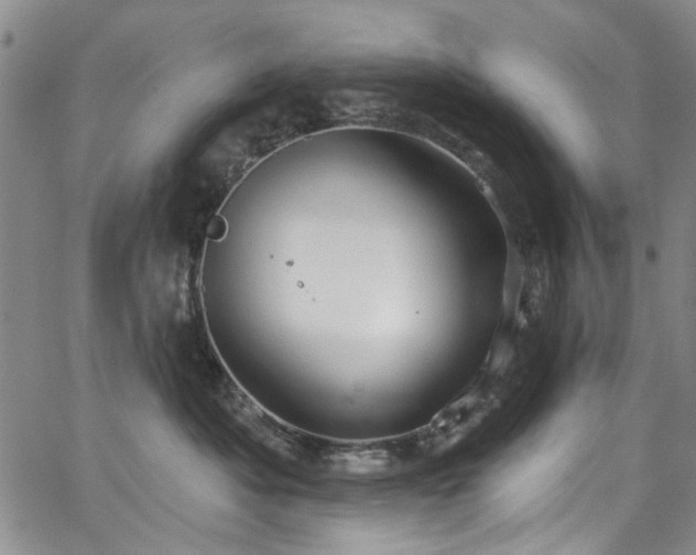 X0000067490525200604071207