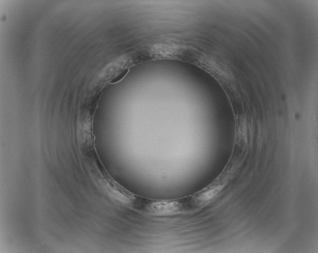 X0000067490526200604071207