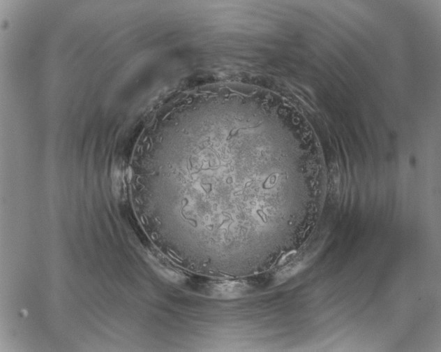 X0000067490527200604071207