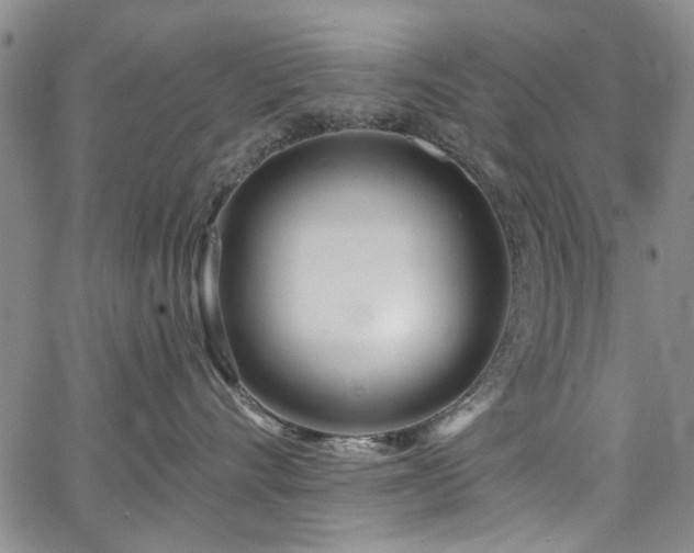 X0000067490528200604071207