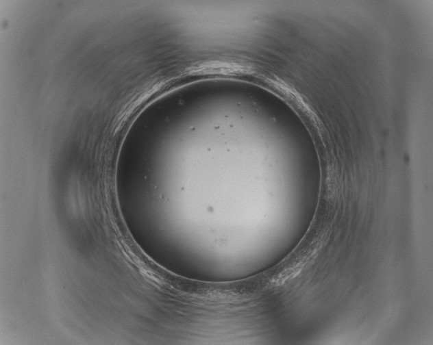 X0000067490529200604071206