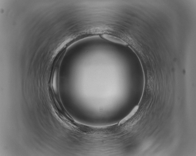 X0000067490530200604071206