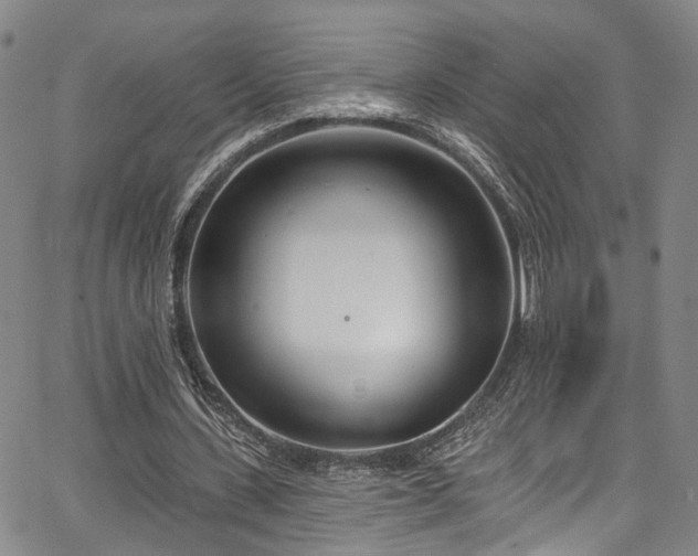 X0000067490531200604071206