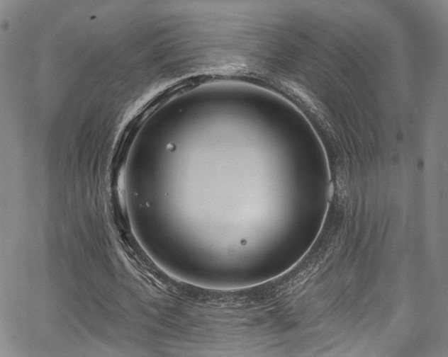 X0000067490532200604071206