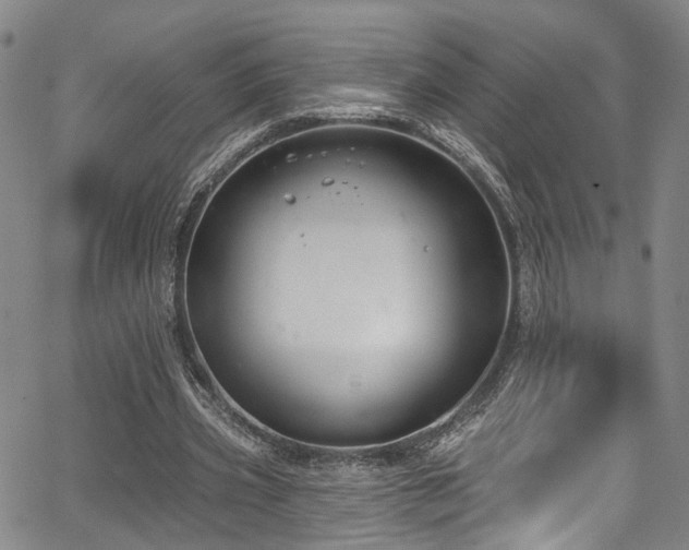 X0000067490533200604071206