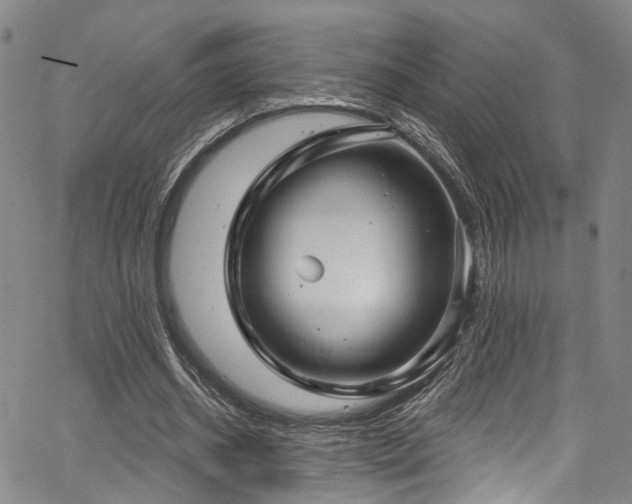 X0000067490534200604071206