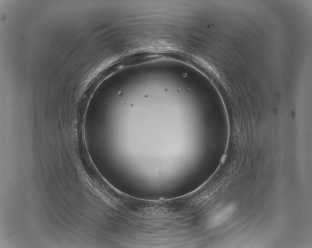 X0000067490535200604071206