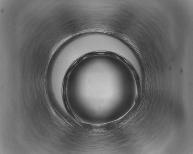 X0000067490536200604071206