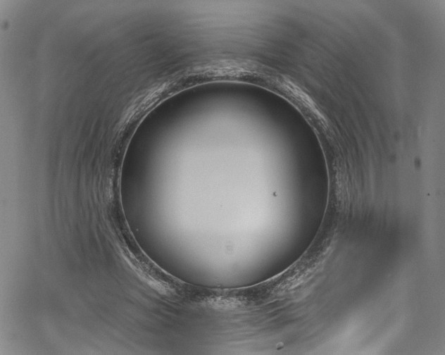 X0000067490537200604071206