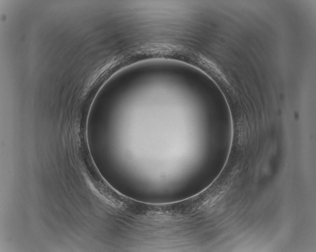 X0000067490538200604071206