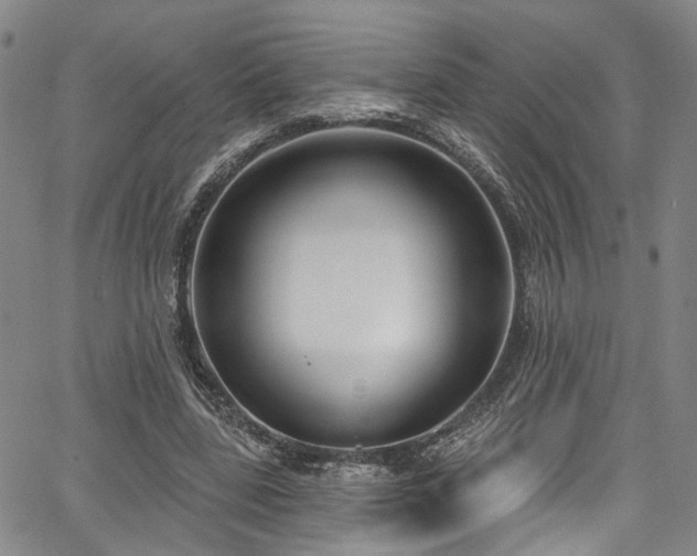 X0000067490539200604071206