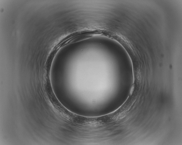 X0000067490540200604071206