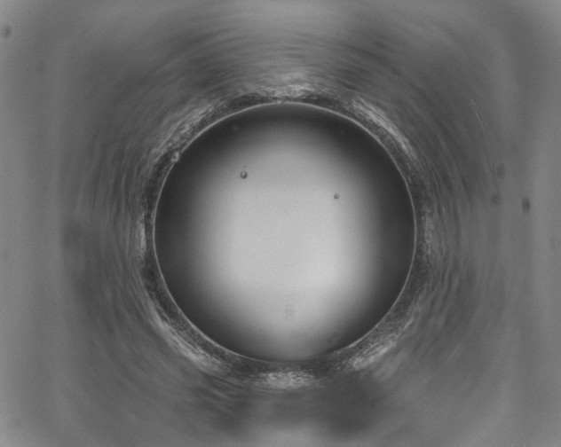 X0000067490541200604071206