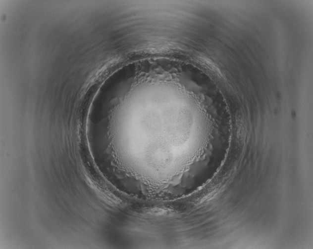 X0000067490542200604071206