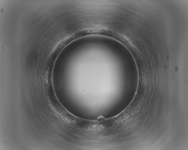 X0000067490543200604071206