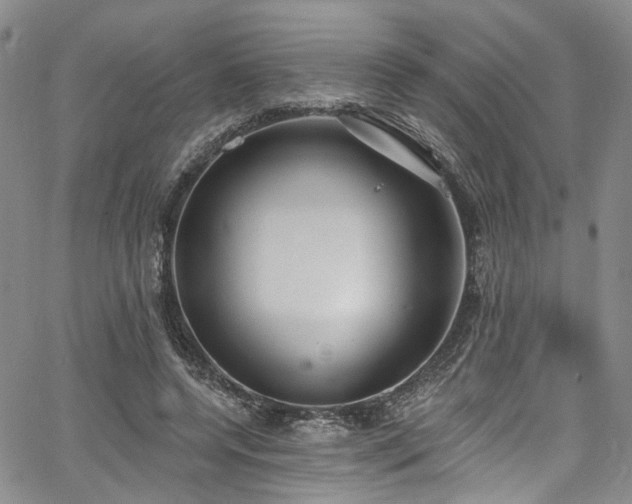 X0000067490544200604071206