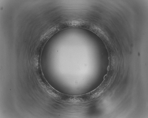 X0000067490545200604071206