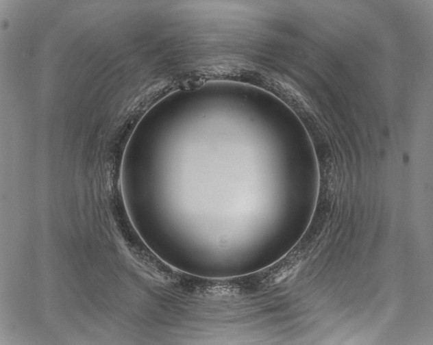 X0000067490546200604071206