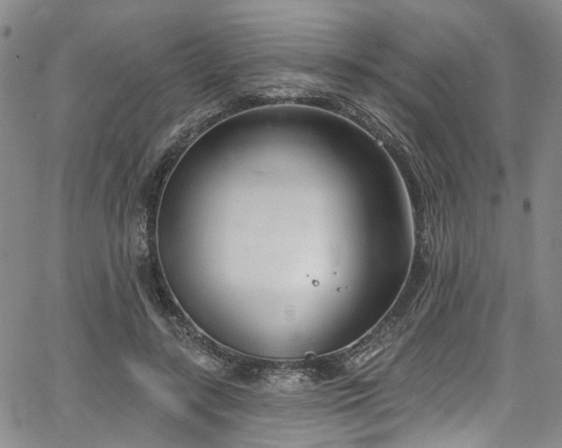 X0000067490547200604071206