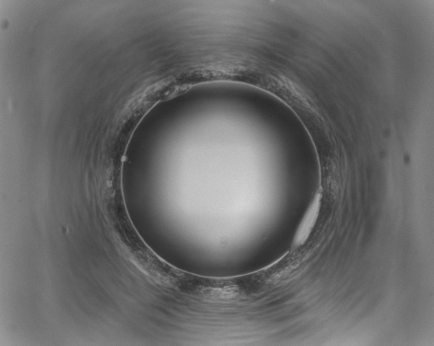 X0000067490548200604071206